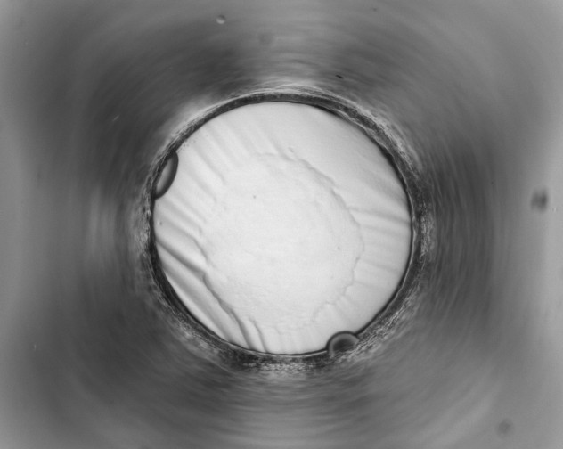 X0000103441363200810031404