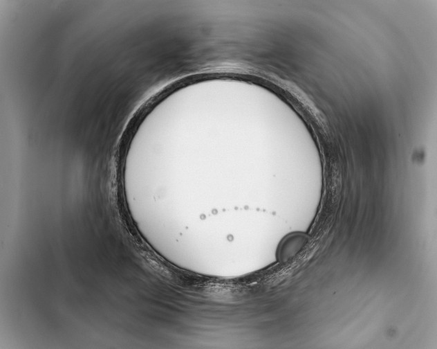 X0000103441364200810031404
