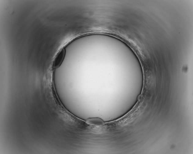 X0000103441365200810031404