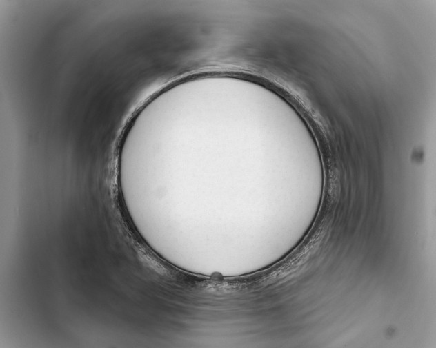 X0000103441366200810031404