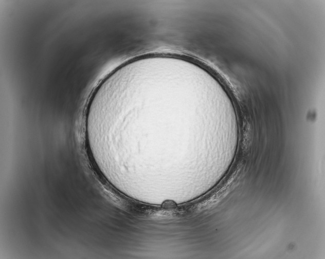 X0000103441367200810031404