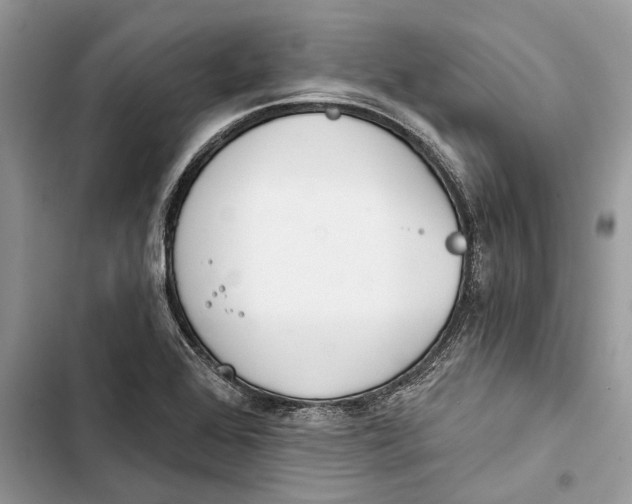 X0000103441368200810031404