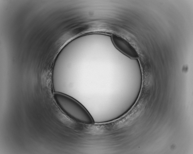 X0000103441369200810031403