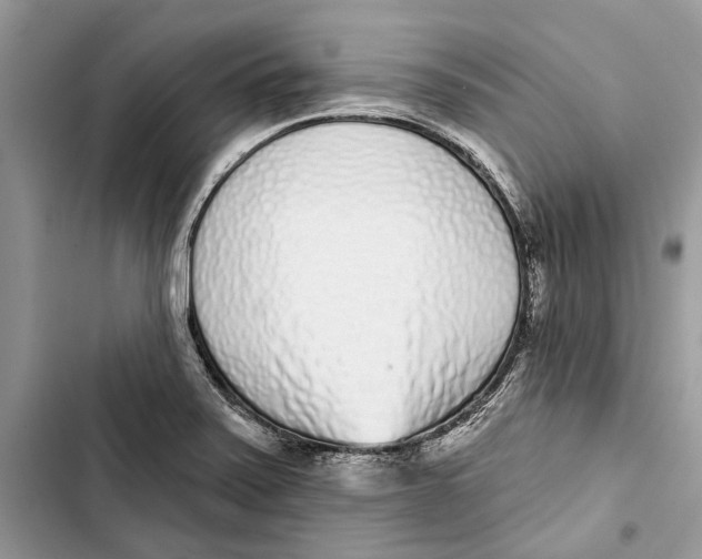X0000103441371200810031403