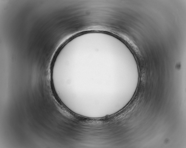 X0000103441372200810031403