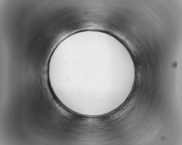 X0000103441375200810031403