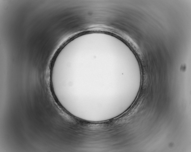 X0000103441376200810031403