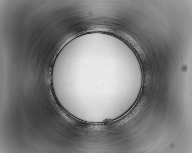 X0000103441377200810031403