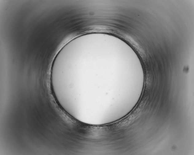 X0000103441378200810031403