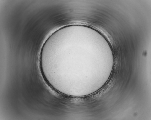 X0000103441379200810031403