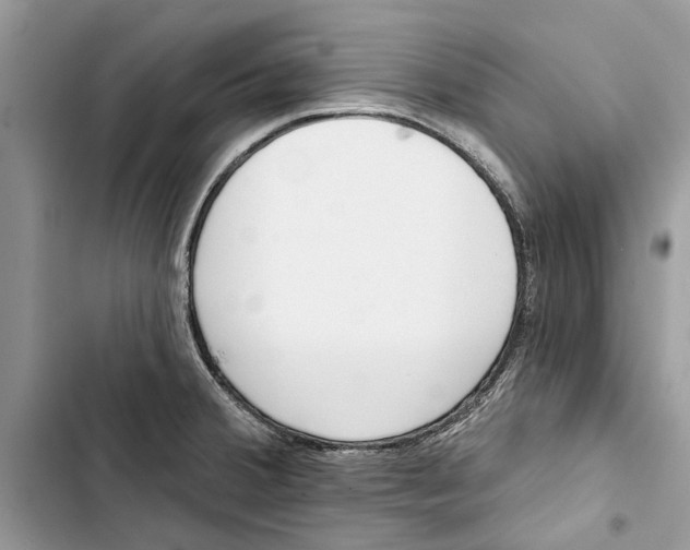 X0000103441380200810031403
