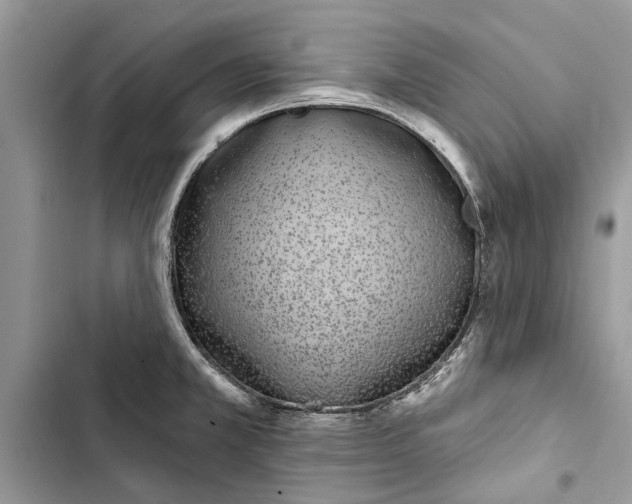 X0000103441381200810031403