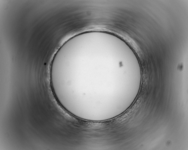 X0000103441382200810031403
