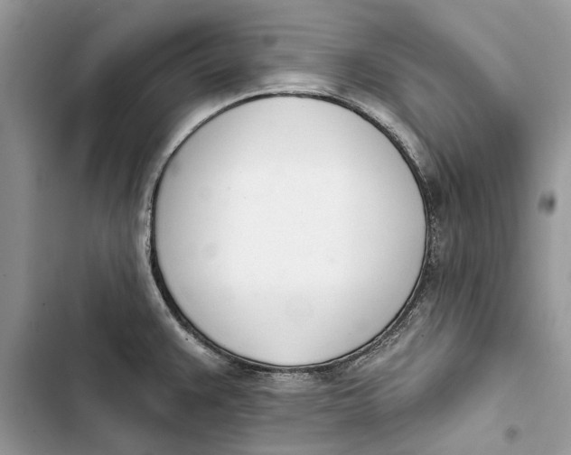 X0000103441383200810031403