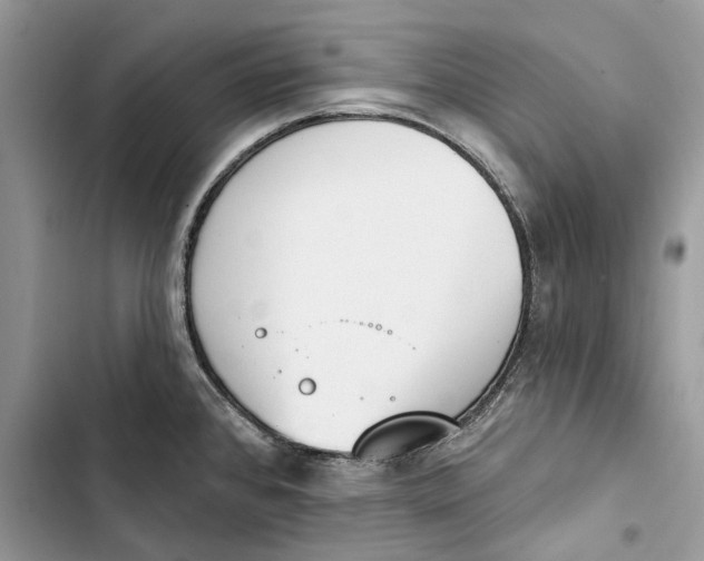 X0000103441384200810031403