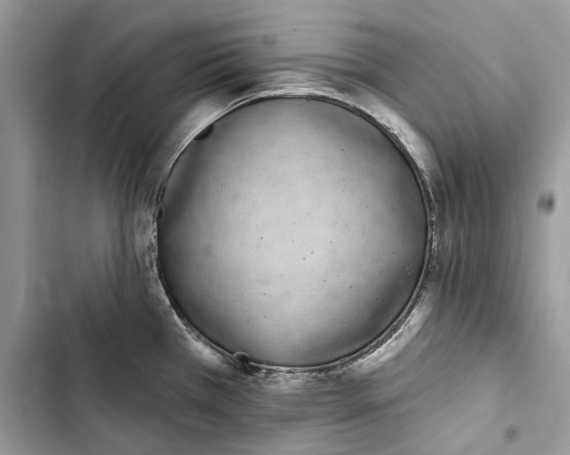 X0000103441385200810031403