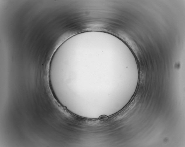 X0000103441386200810031403