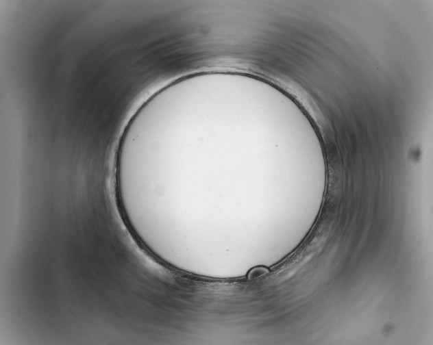 X0000103441387200810031403