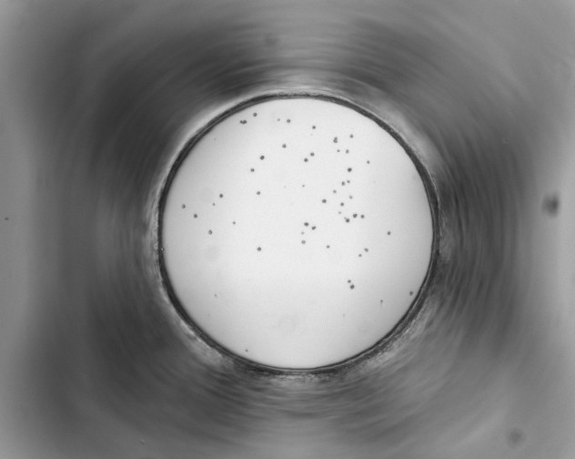 X0000103441388200810031403