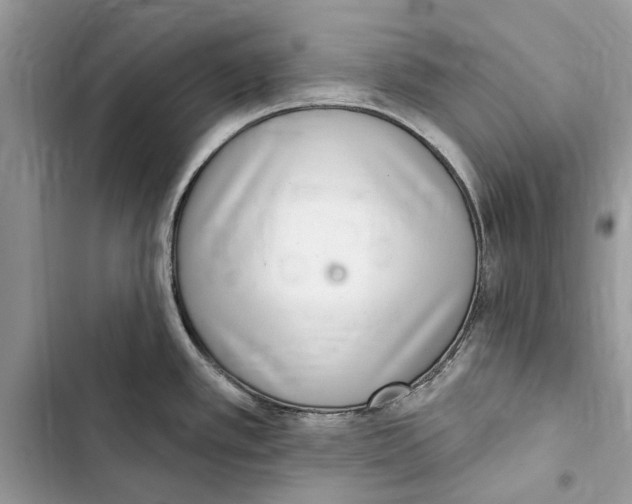 X0000103441389200810031403