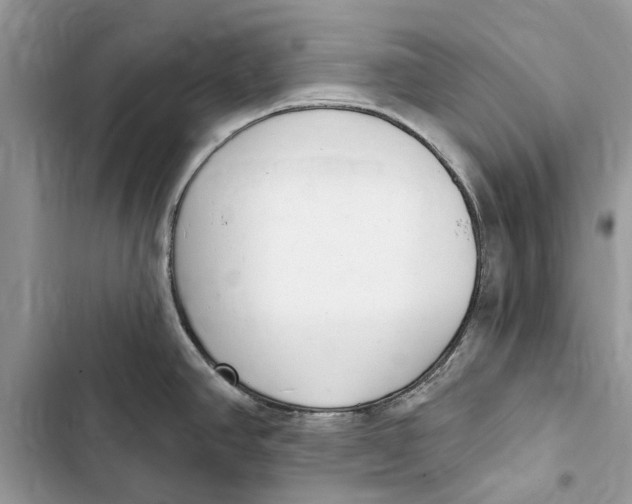 X0000103441390200810031403
