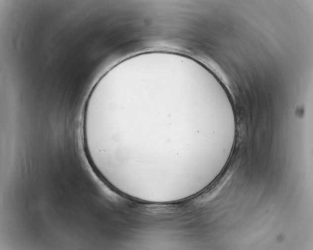 X0000103441391200810031403