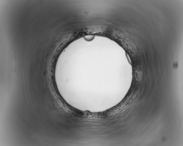 X0000103441393200810031402