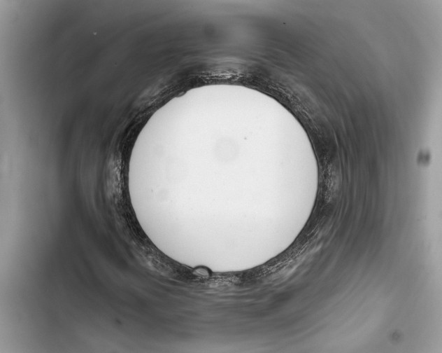 X0000103441394200810031402