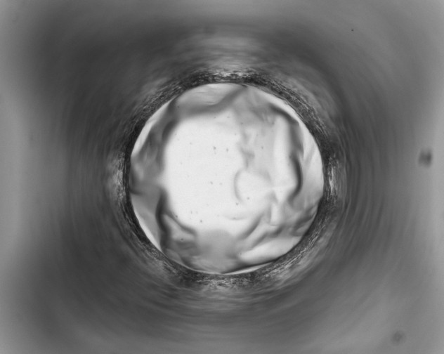 X0000103441396200810031402