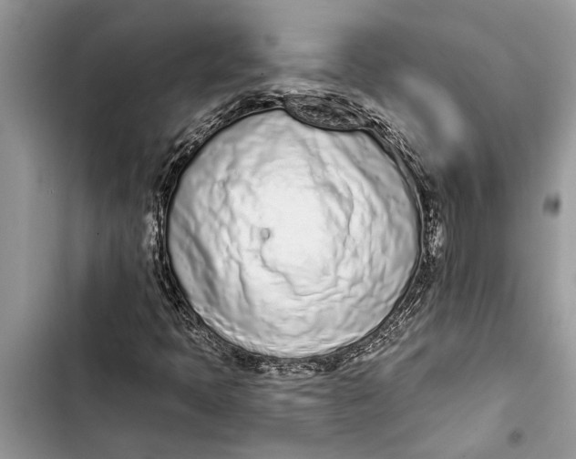 X0000103441397200810031403