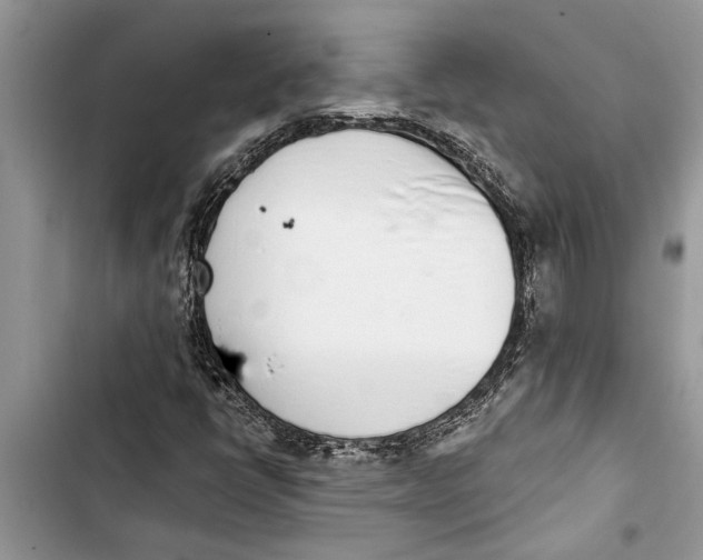 X0000103441398200810031403