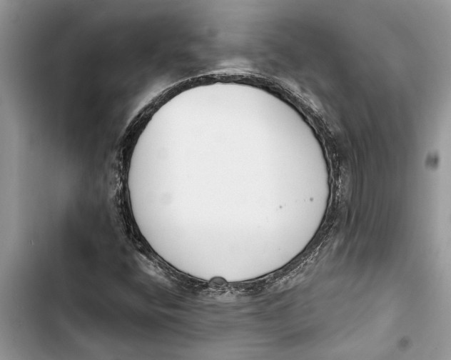 X0000103441400200810031403