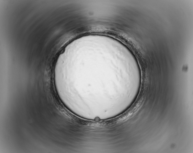 X0000103441401200810031403