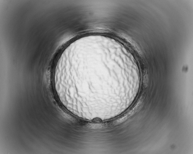 X0000103441402200810031403