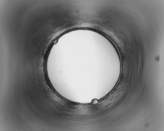 X0000103441404200810031403
