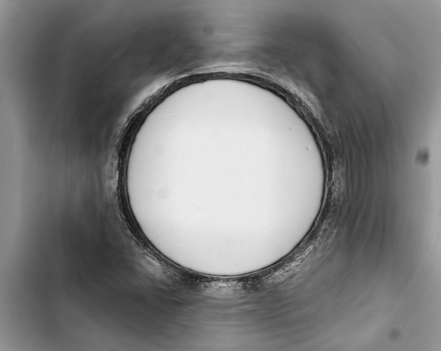 X0000103441406200810031403