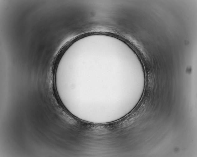 X0000103441408200810031403