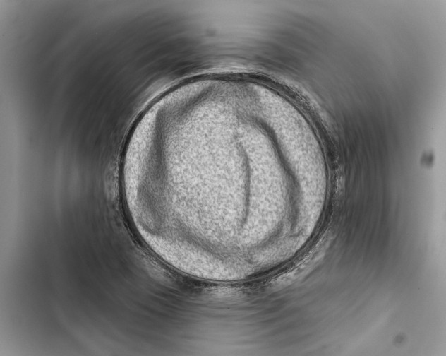 X0000103441409200810031403