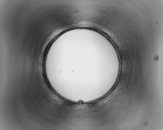 X0000103441410200810031403