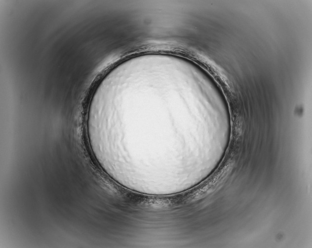 X0000103441411200810031403