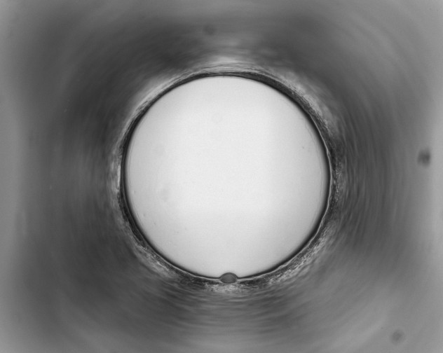 X0000103441413200810031403