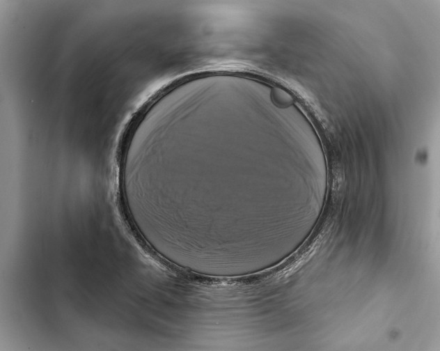 X0000103441414200810031403