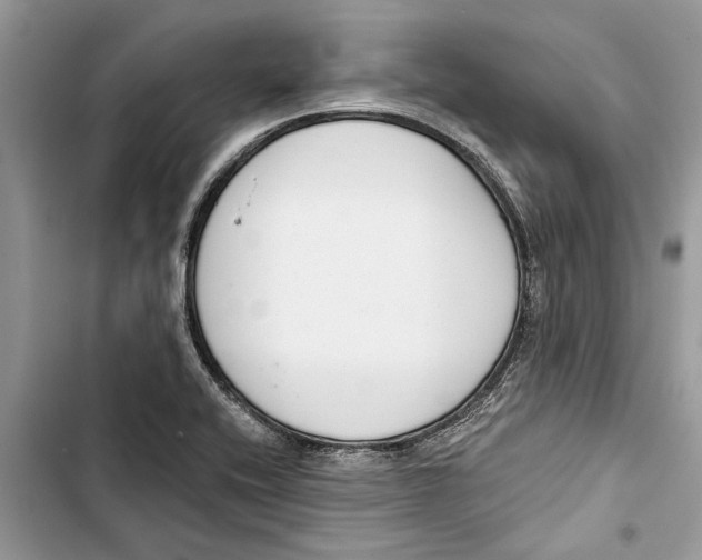 X0000103441416200810031403