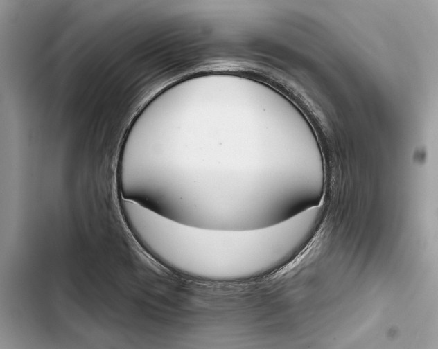 X0000103441417200810031403