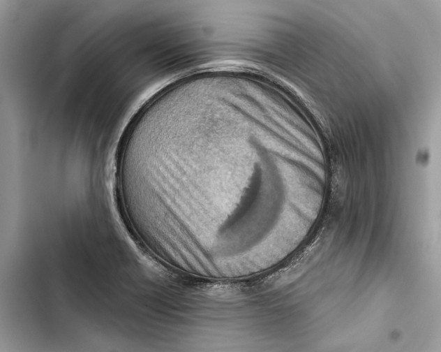 X0000103441418200810031403