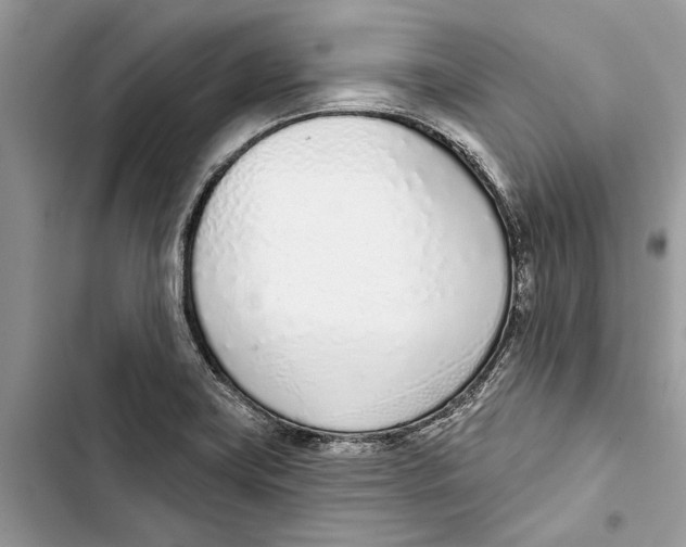 X0000103441419200810031403