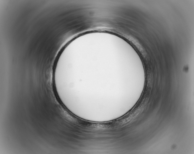 X0000103441420200810031403