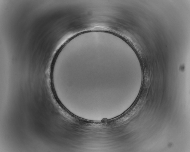 X0000103441422200810031403
