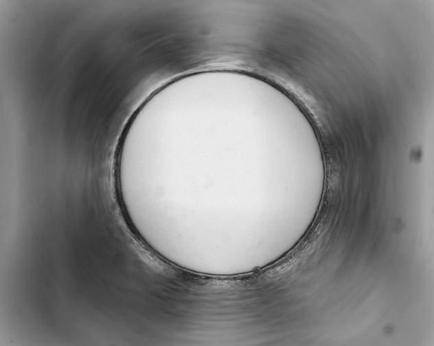 X0000103441423200810031403