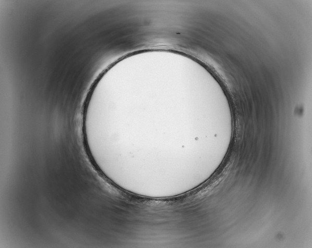 X0000103441424200810031403